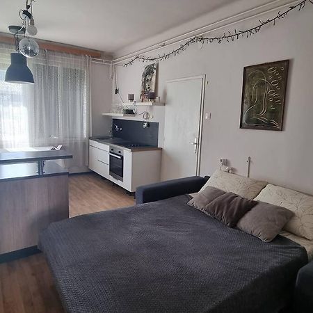 Cosy 2 Room Apartment With Nice Vibe, For Up To 4 リュブリャナ エクステリア 写真