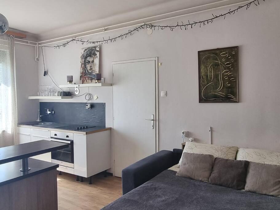 Cosy 2 Room Apartment With Nice Vibe, For Up To 4 リュブリャナ エクステリア 写真