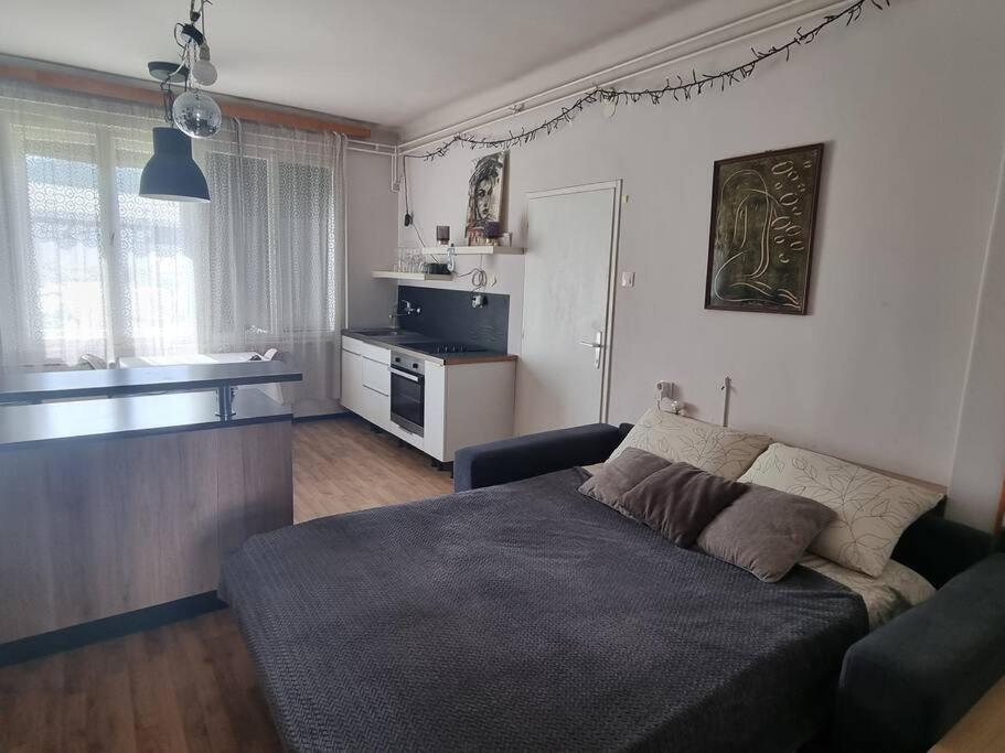 Cosy 2 Room Apartment With Nice Vibe, For Up To 4 リュブリャナ エクステリア 写真